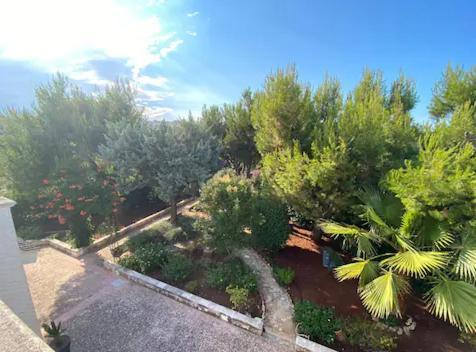 Villa Adelaide Ceglie Messapica Exterior photo