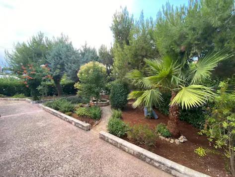Villa Adelaide Ceglie Messapica Exterior photo